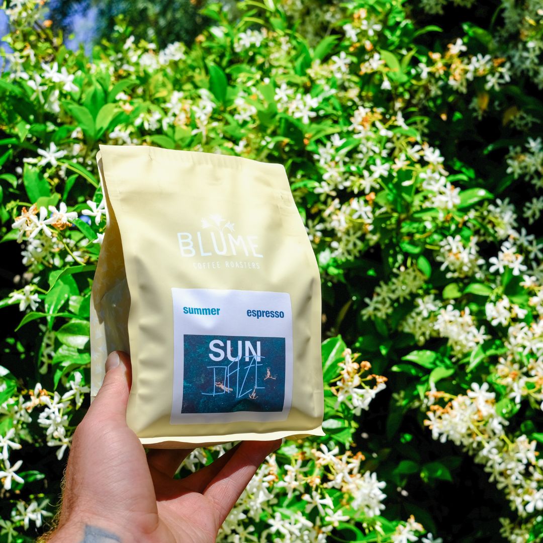 SunDaze Espresso Pack