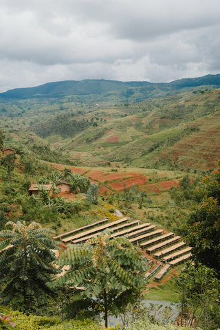 Burundi, Kinyovu Hill, Washed