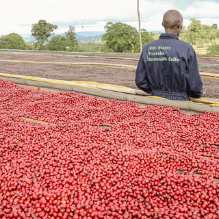 Ethiopia, Bookkisa, Natural