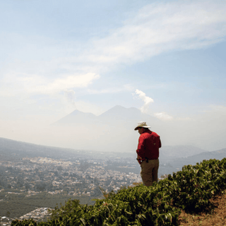 Guatemala, Santa Clara, Natural